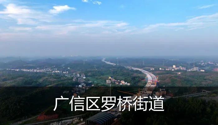 广信区罗桥街道